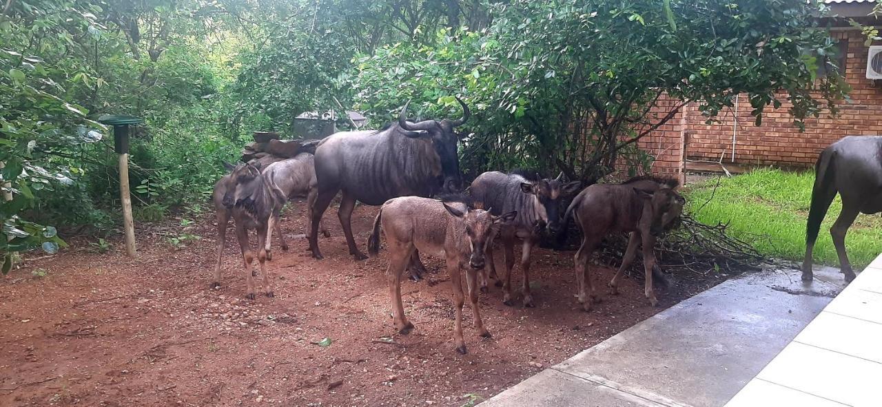 Nature Cottage Marloth Park Dış mekan fotoğraf